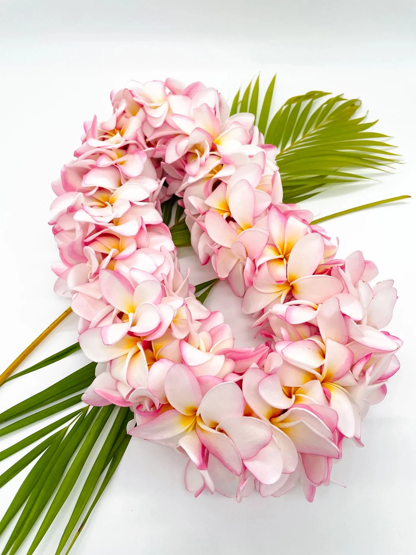 A soft pink plumeria lei laid across a green palm frond on a white surface.